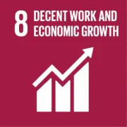 SDG Icons 08